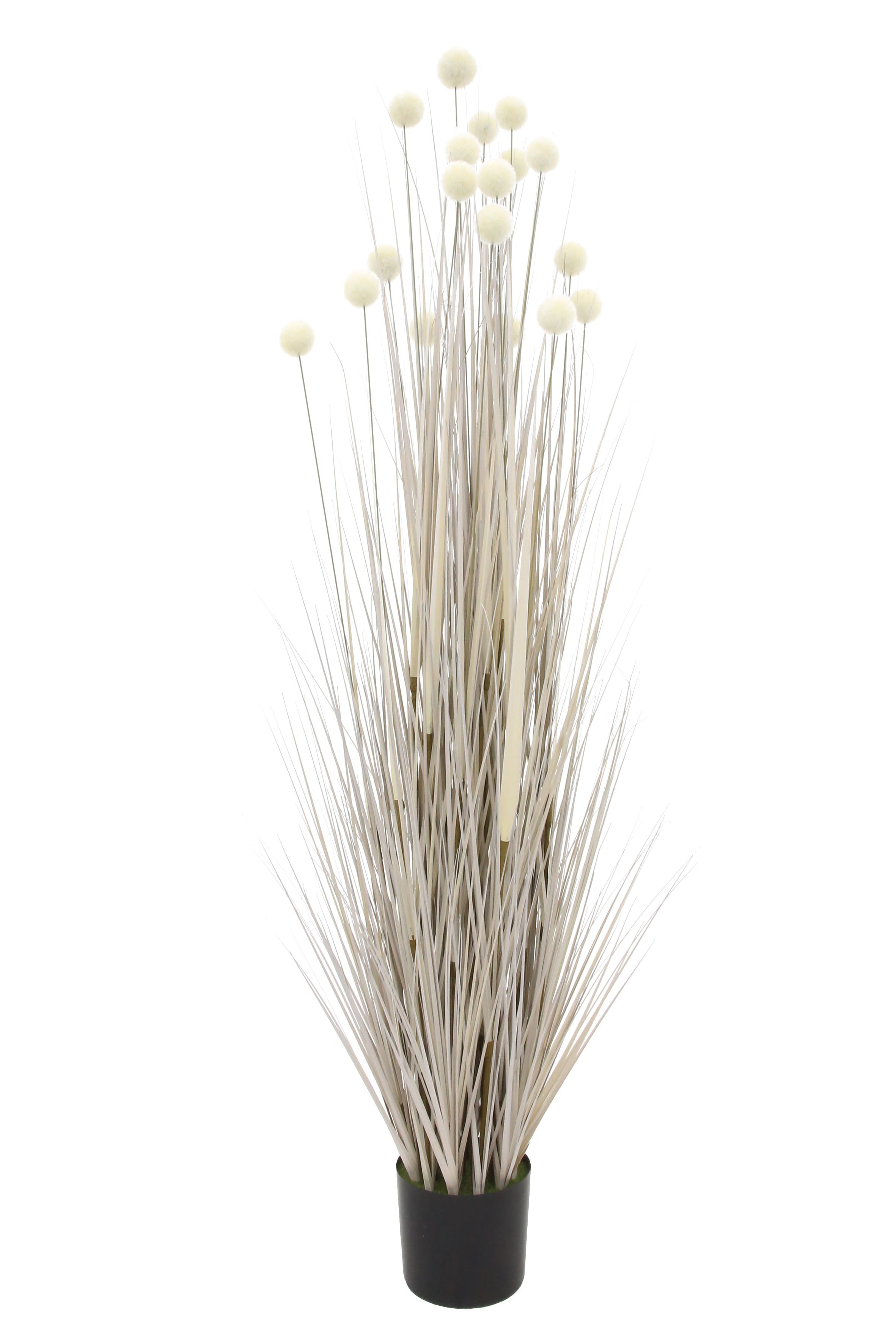 Dekopflanze Federgras grau 150 cm H