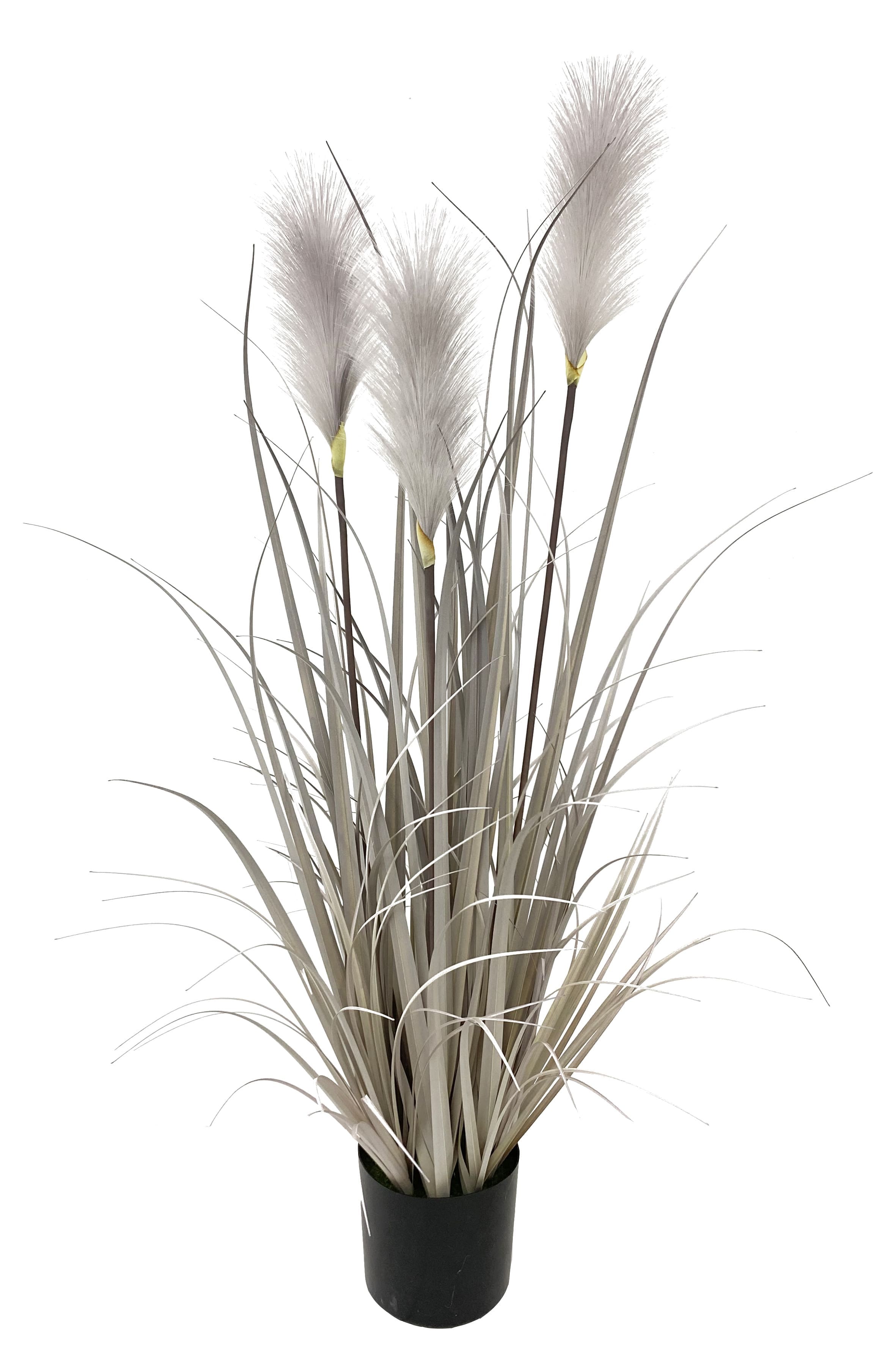 Dekopflanze Pampasgras grau 68 cm H